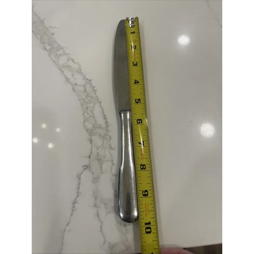 Williams Sonoma BASTILLE 18/10 Stainless‎ Steel 10” Dinner Knife made in FRANCE